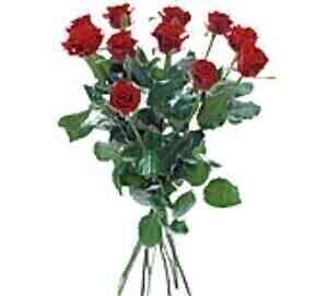 Bouquet with 12 red roses..