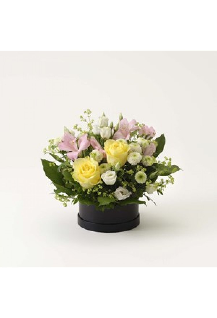 Arrangement of cut flower..