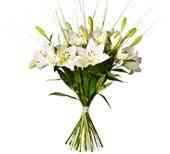 Bouquet Dashing Lilies..