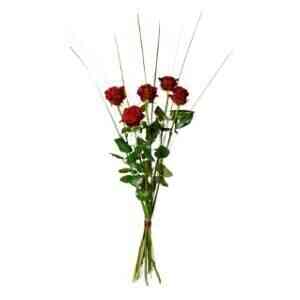 Bouquet of 5 red roses..