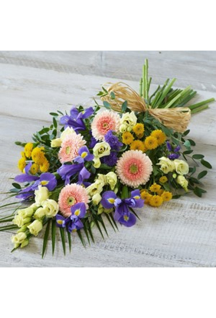 Large Lemon and Blue Shea..