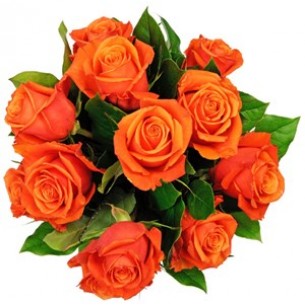 Affection Orange Roses..