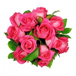 Affection Pink Roses..
