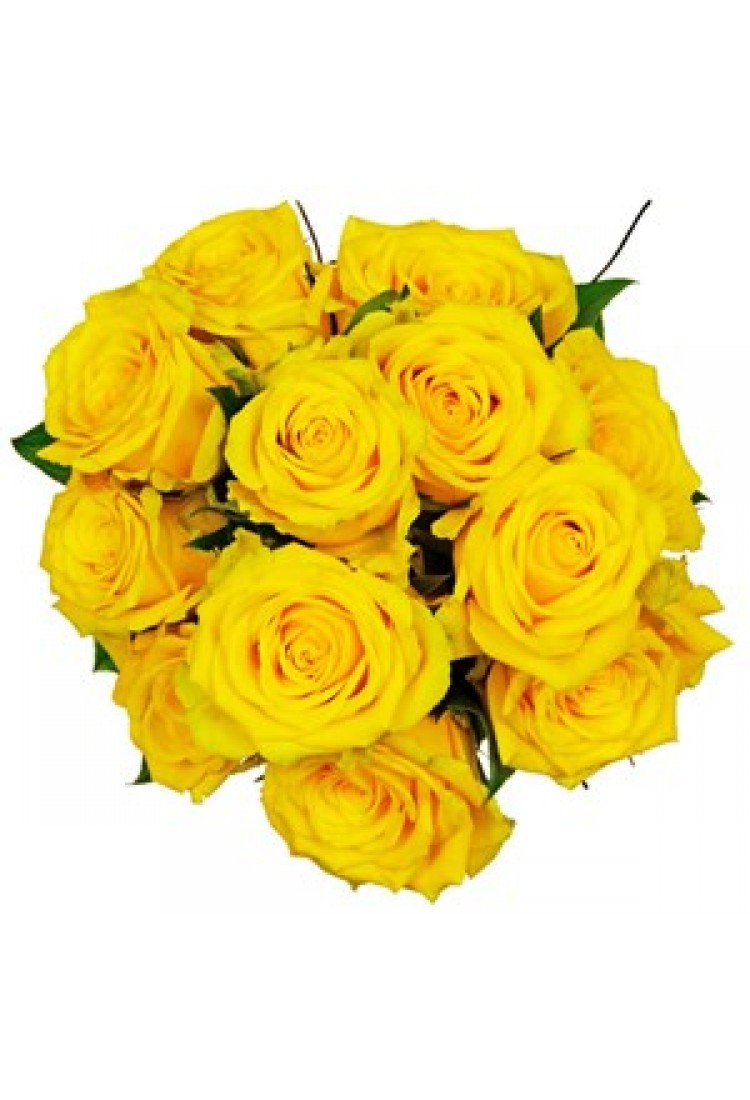 Affection Yellow Roses