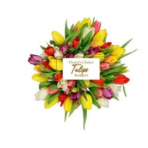 Tulips Florist Choice Bou..