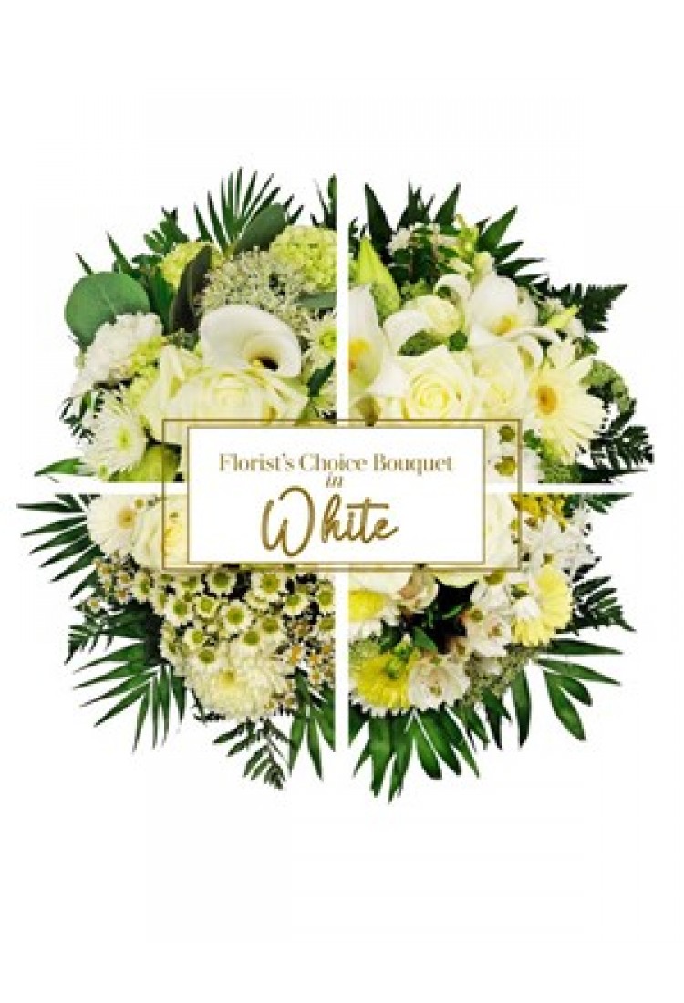 White Blooms.. White Blooms..