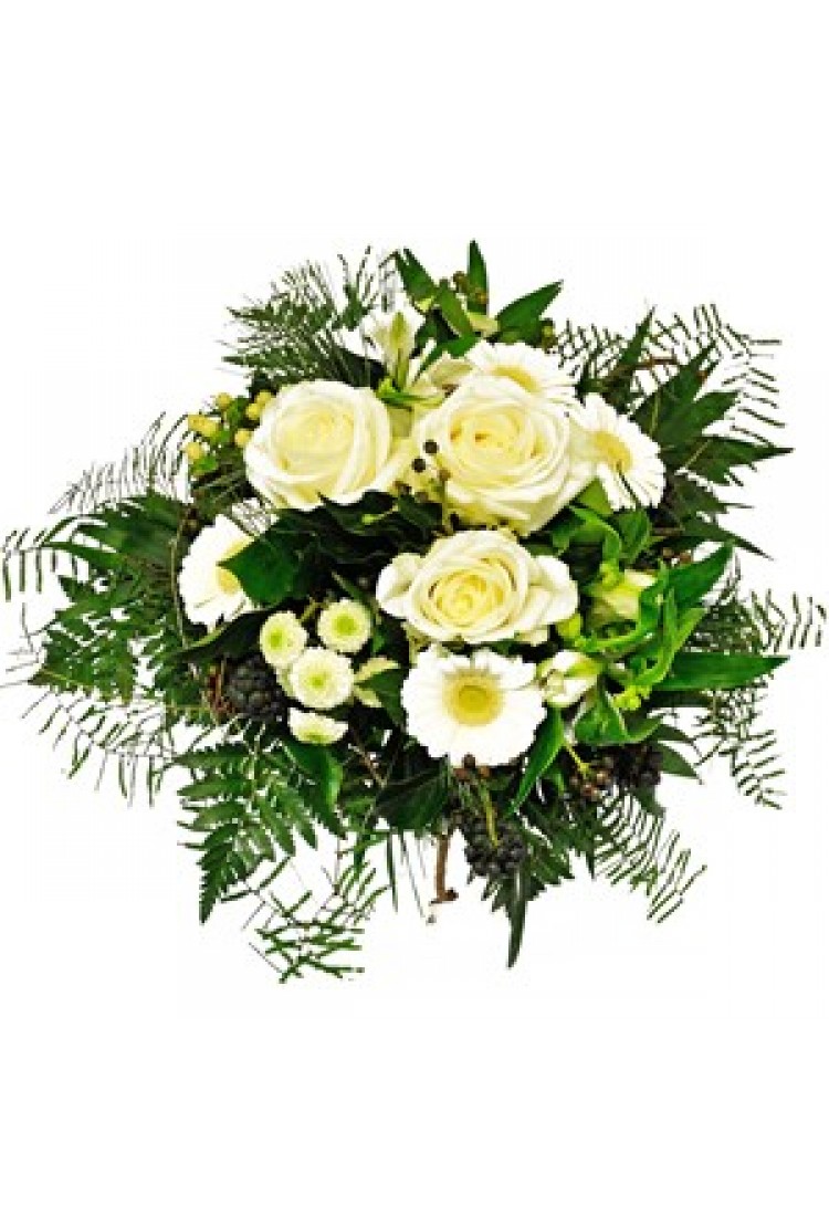 White Blossomdream..