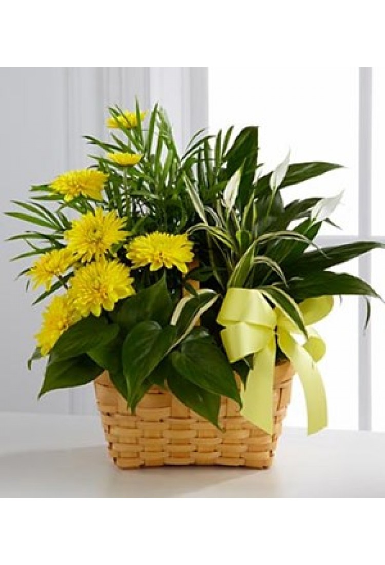 The FTD Loving Light Dish.. The FTD Loving Light Dish..