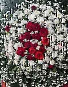 Coroa Arranjo 500 3 Caju ..