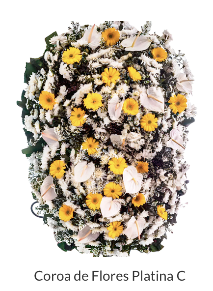 COROA DE FLORES PLATINA C..