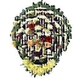 Coroa de Flores Nobres Lu..