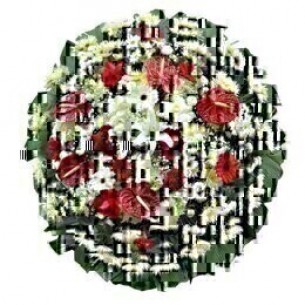 Coroa de Flores Standard ..