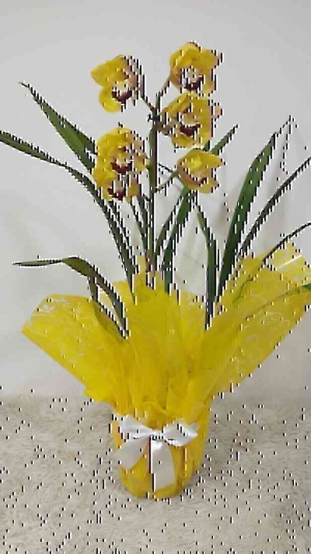 Orquidea Cymbidium Amarel..