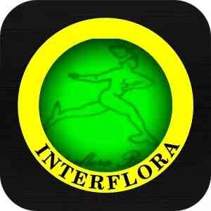 FLORICULTURA COROA DE FLORES ARRANJOS PARA FUNERAL EM TODO O RIO DEE JANEIRO